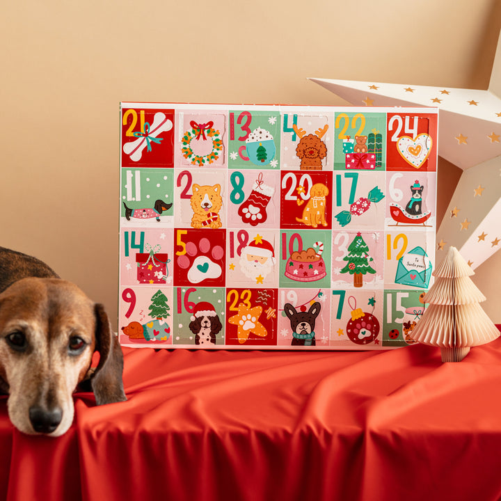 EXCLUSIVE BUNDLE Christmas Advent Calendar for Dogs + Free Iced Biscuit Set
