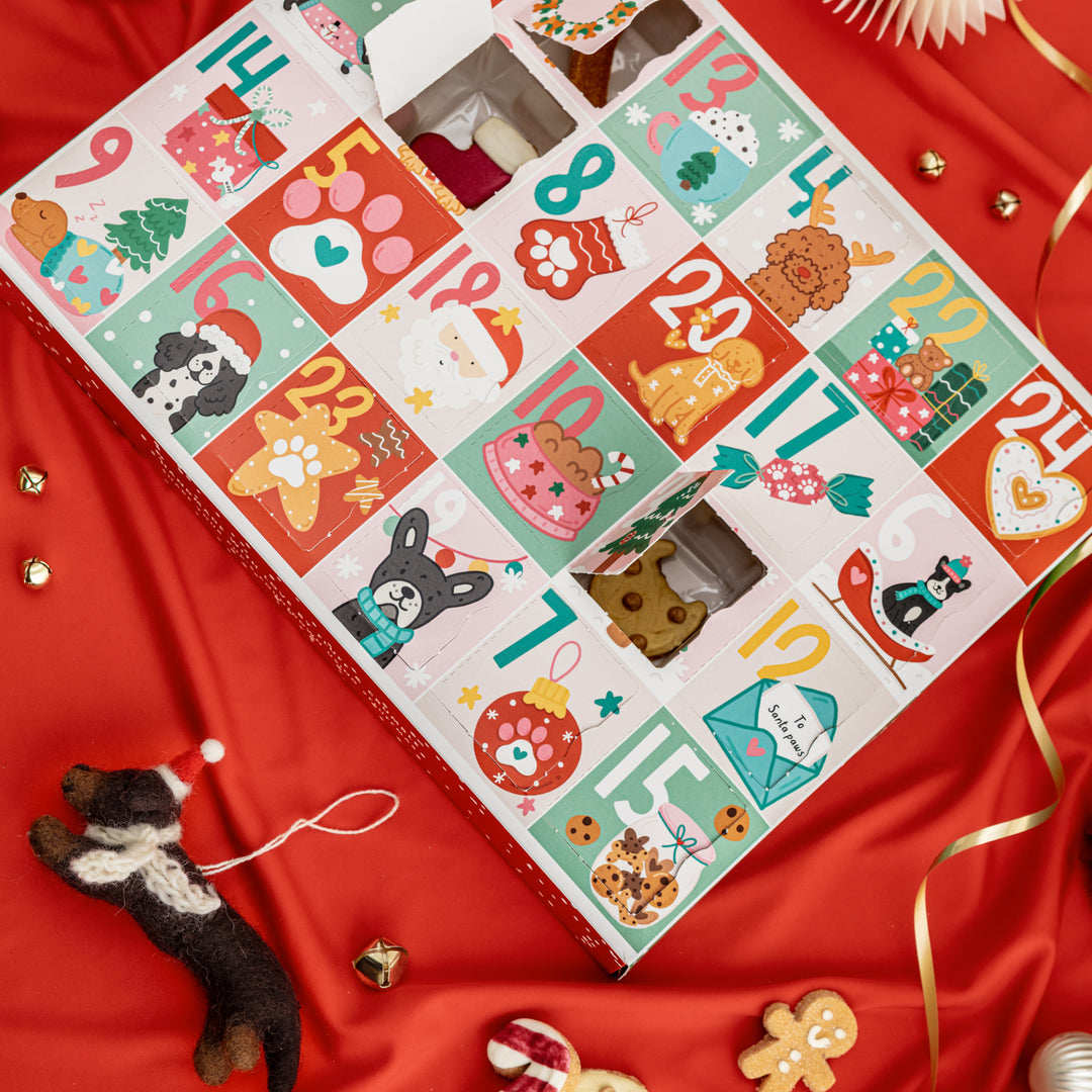 EXCLUSIVE BUNDLE Christmas Advent Calendar for Dogs + Free Iced Biscuit Set