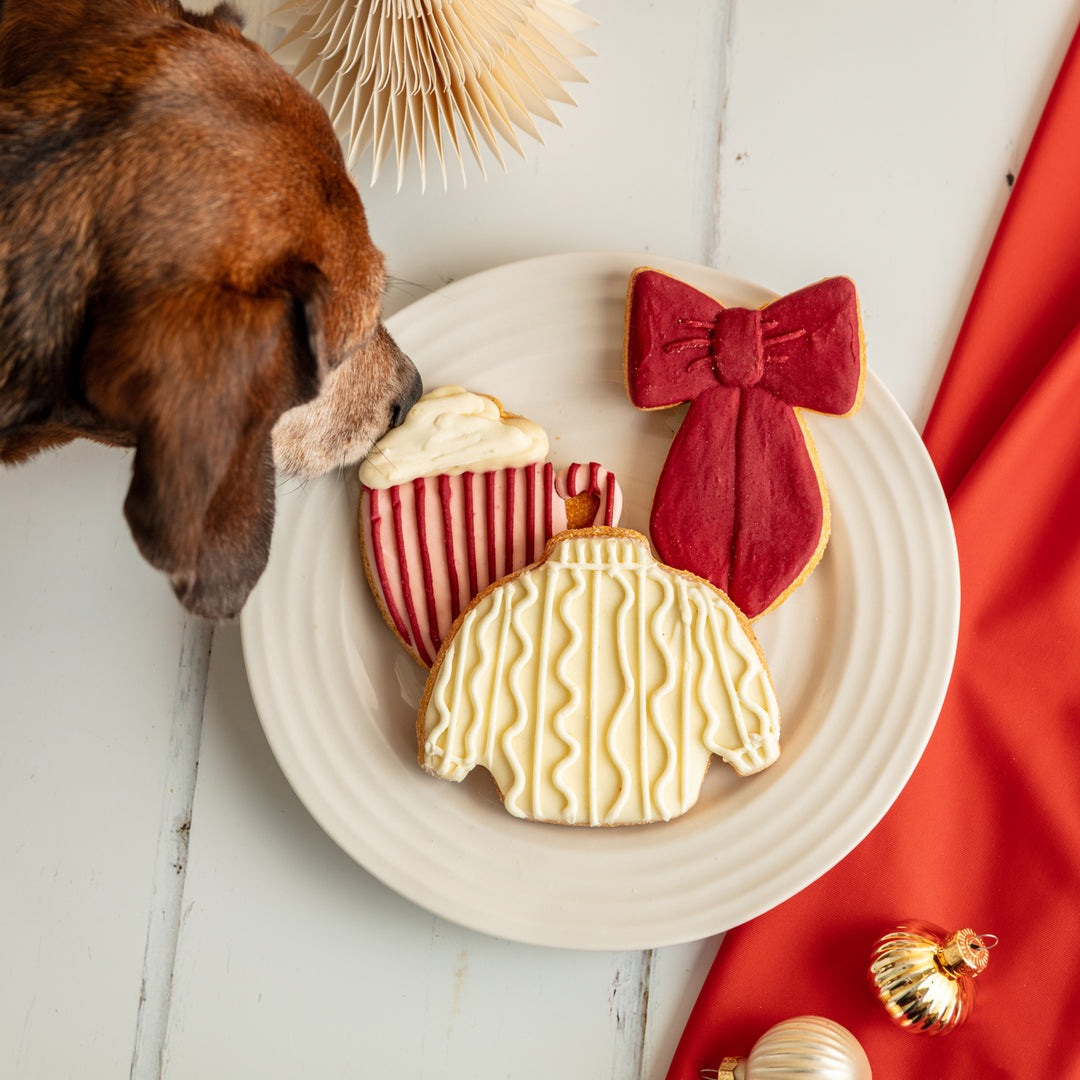 Cosy Christmas Bow Iced Dog Biscuit Trio