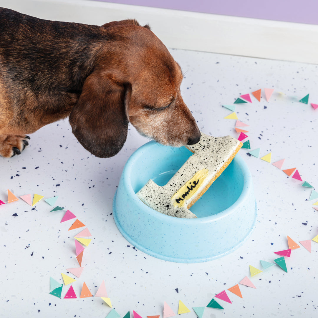 Personalised Giant Birthday Numbers Iced Dog Biscuit