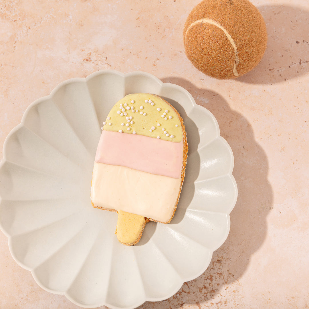 Giant Pupsicle Iced Dog Biscuit