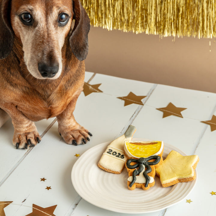 Happy New Year 2026 Iced Dog Biscuit Trio