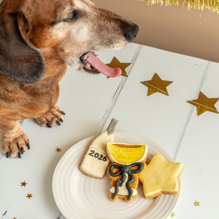 Happy New Year 2026 Iced Dog Biscuit Trio