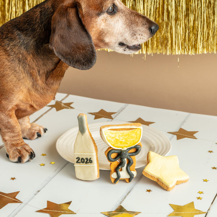Happy New Year 2026 Iced Dog Biscuit Trio