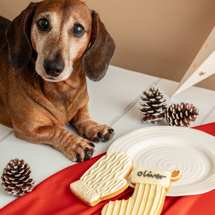 Personalised Christmas Stocking & Mitten Iced Dog Biscuit Duo