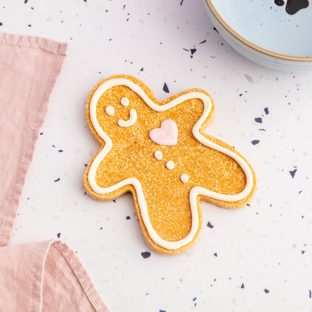 Pip the Peanut Butter Man Jumbo Iced Dog Biscuit