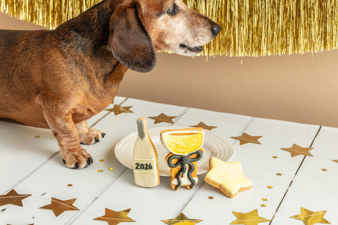 A New Chapter for Fluff & Crumble