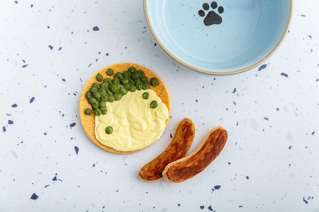 Iced Dog Biscuit Sets