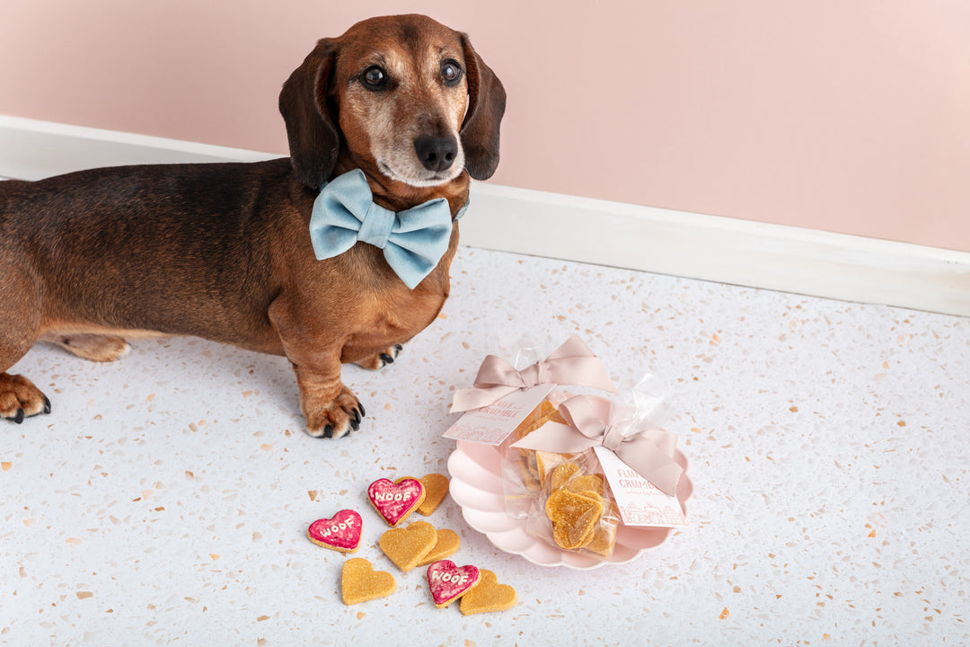 Wedding Iced Dog Biscuits