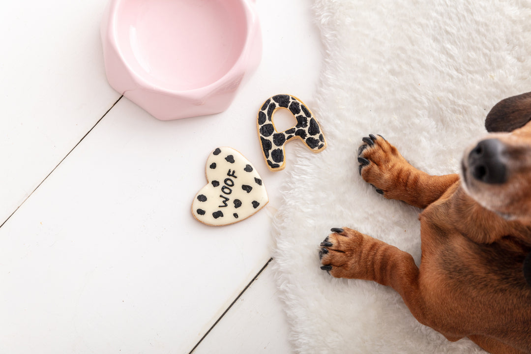 Iced Dog Biscuits