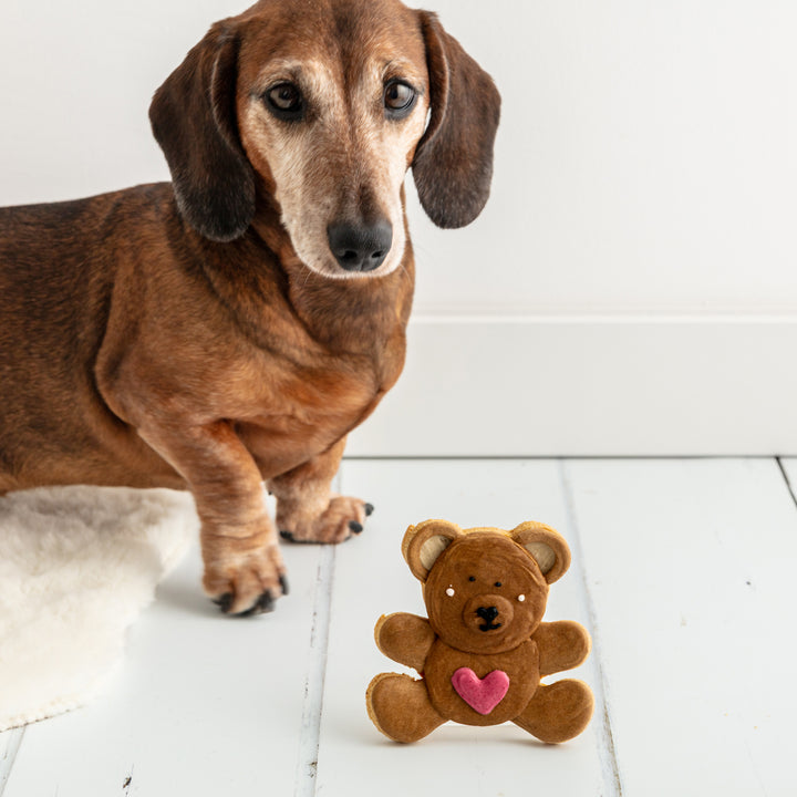 Love Bear Iced Dog Biscuit