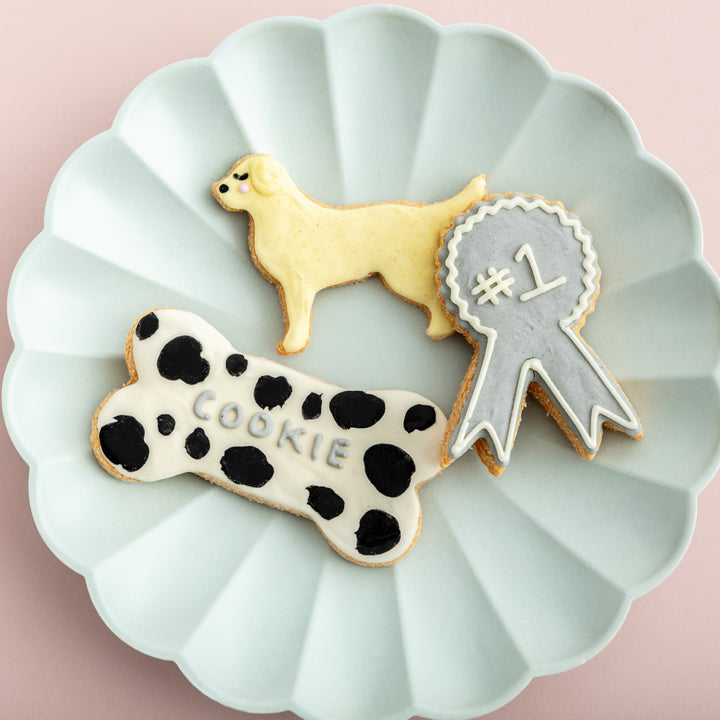 Create Your Own Best in Show Mini Iced Dog Biscuit Set