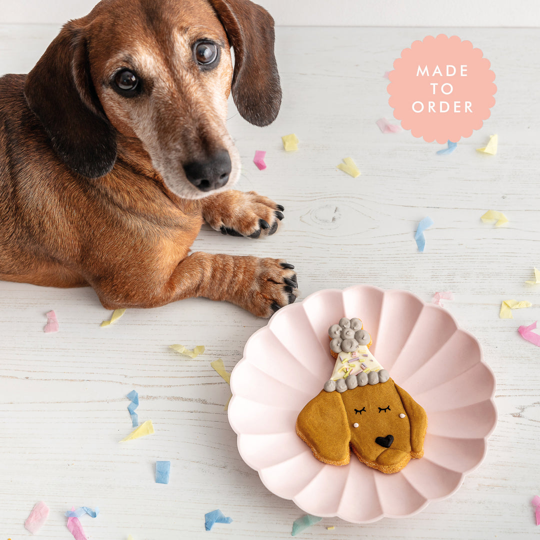 Personalised Iced Dog Biscuit Party Portrait