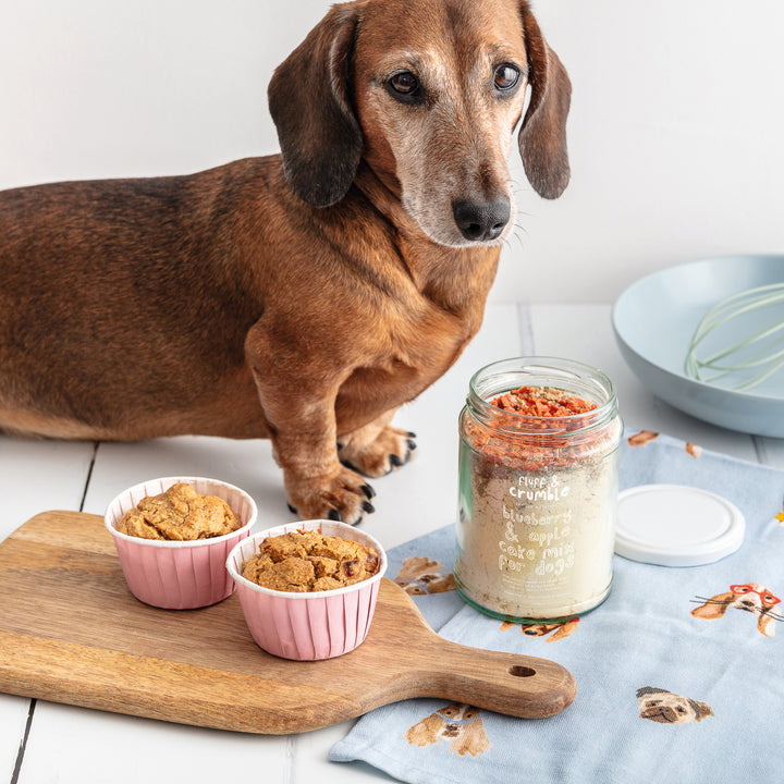 Blueberry & Apple Cake/Cupcake Mix Jar for Dogs