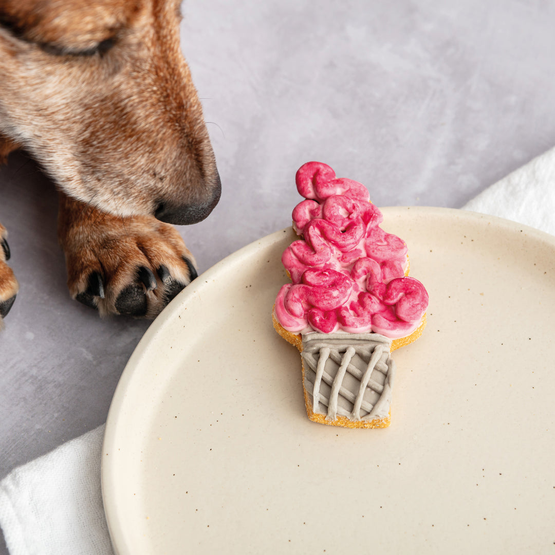 Brain Freeze Ice Cream Halloween Iced Dog Biscuit