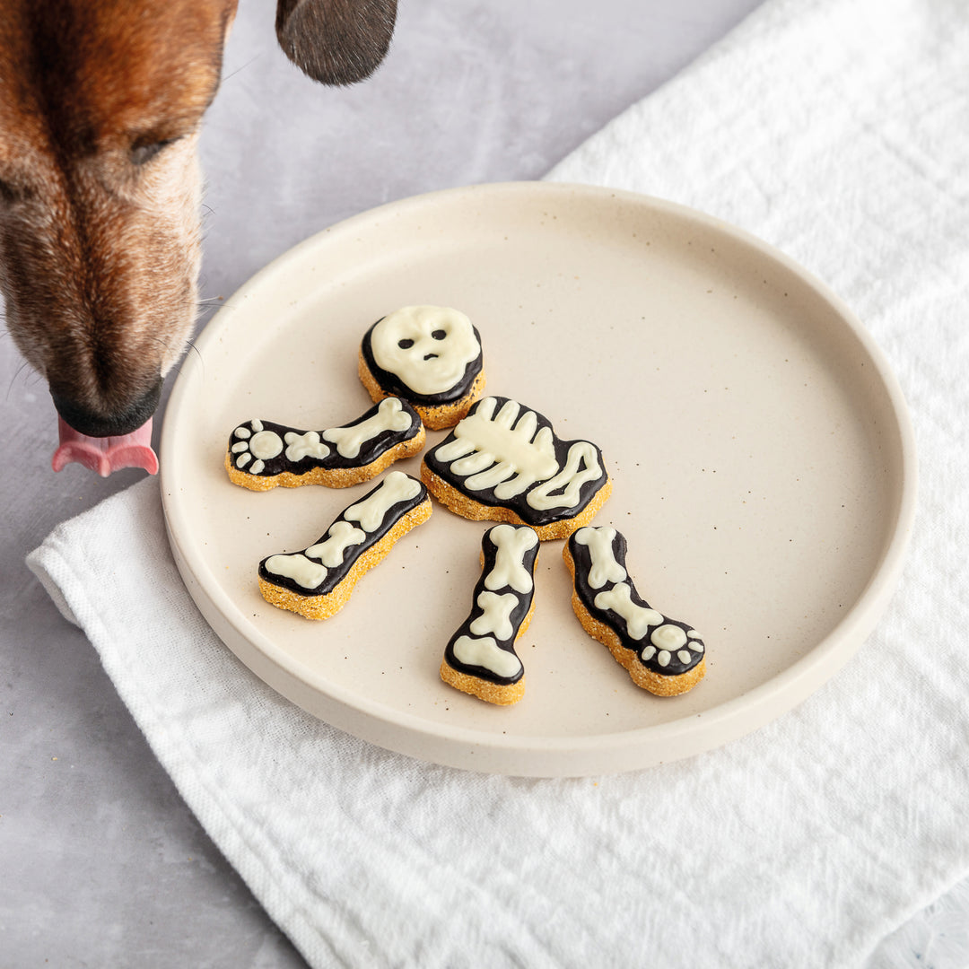 Build-a-Skeleton Halloween Iced Dog Biscuit Set