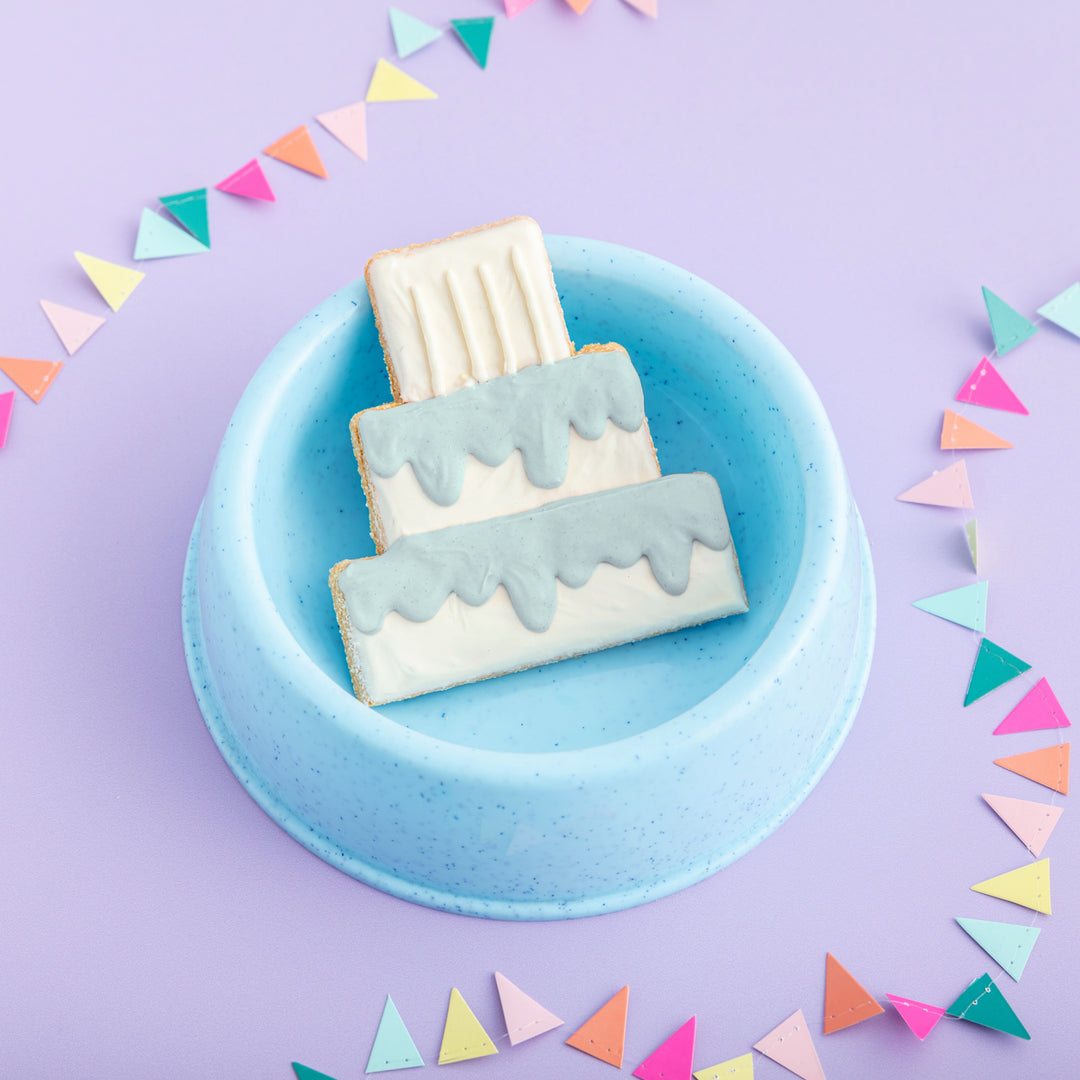 Giant Birthday Cake Iced Dog Biscuit