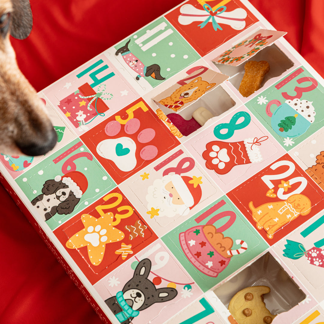 EXCLUSIVE BUNDLE Christmas Advent Calendar for Dogs + Free Iced Biscuit Set