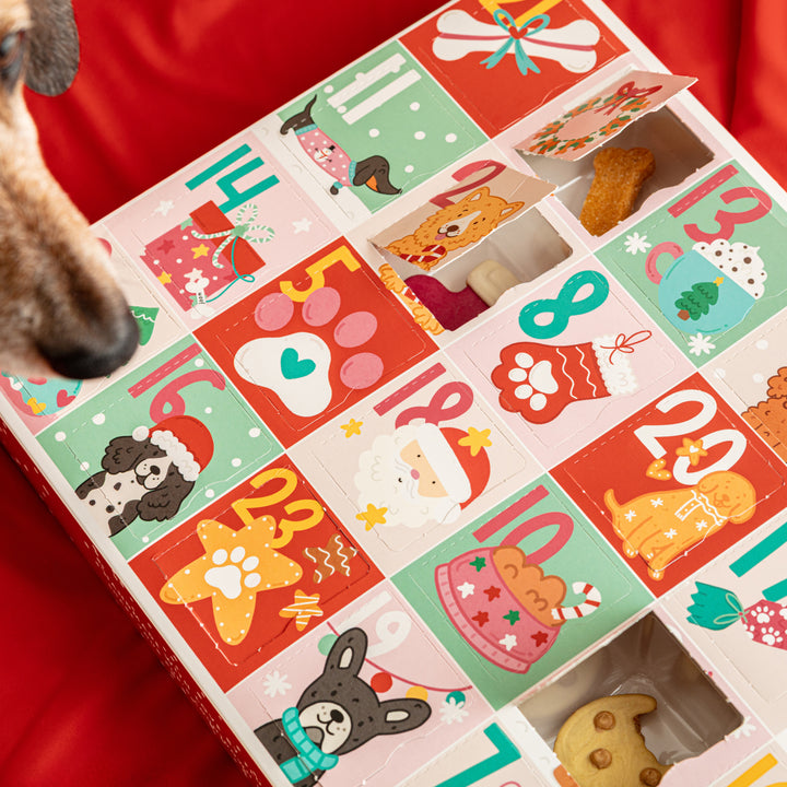 EXCLUSIVE BUNDLE Christmas Advent Calendar for Dogs + Free Iced Biscuit Set