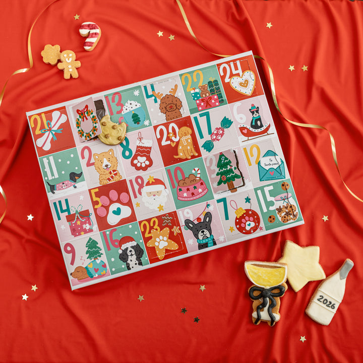 EXCLUSIVE BUNDLE Christmas Advent Calendar for Dogs + Free Iced Biscuit Set