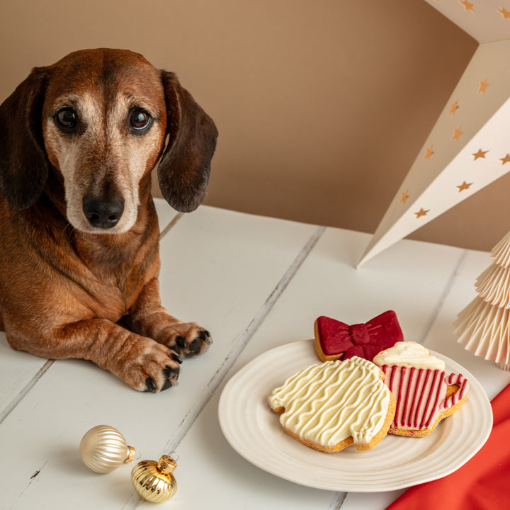 Cosy Christmas Bow Iced Dog Biscuit Trio