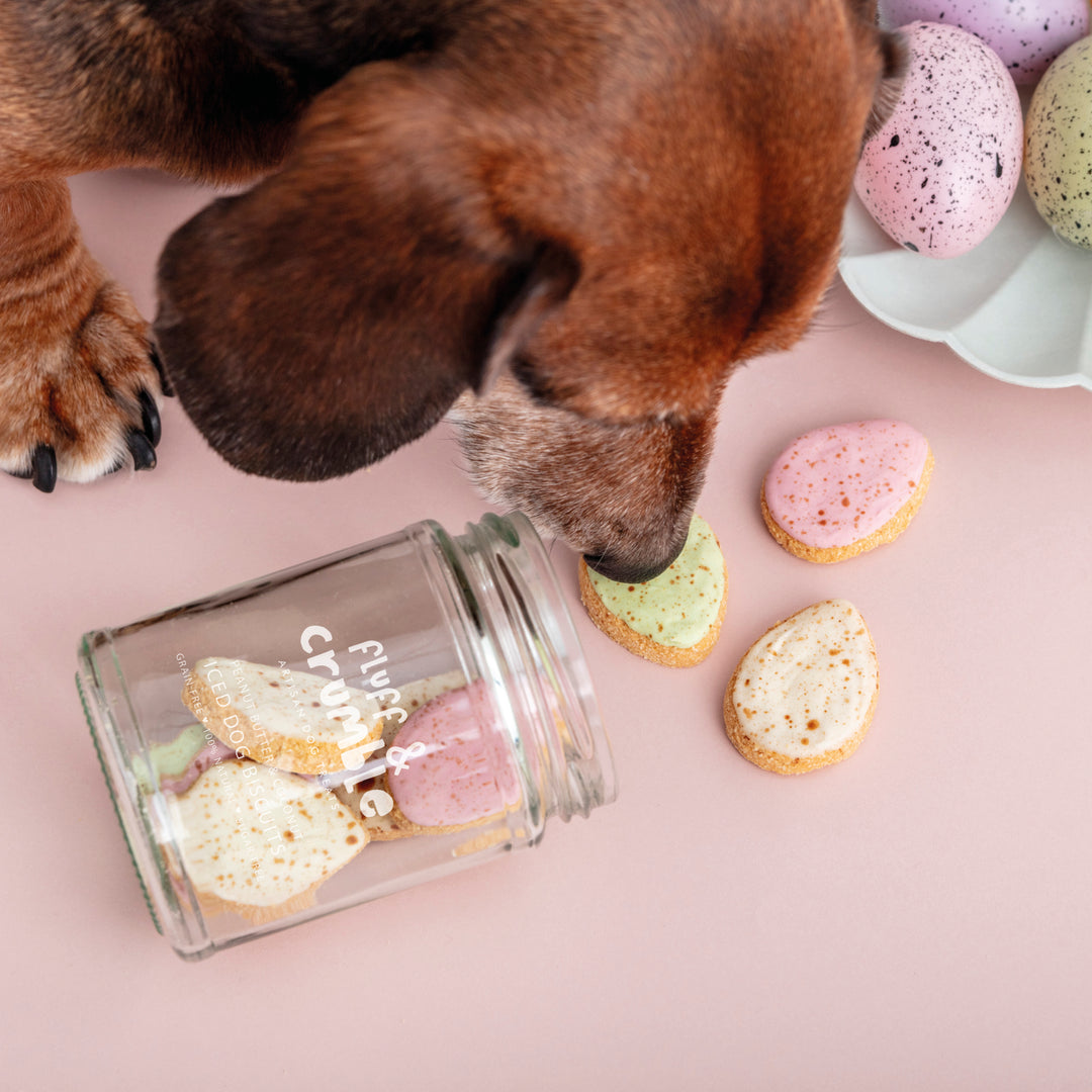 Mini Easter Eggs Iced Dog Biscuit Jar