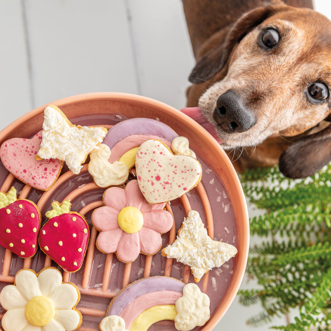 Pink Cloud Enrichment Iced Dog Biscuit Pack