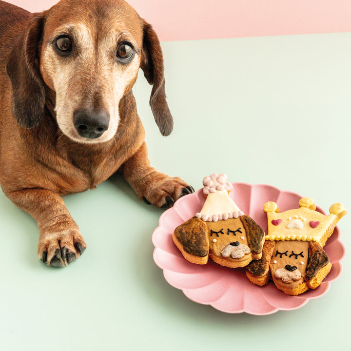 Fetch My Face | Custom Face Iced Dog Biscuit