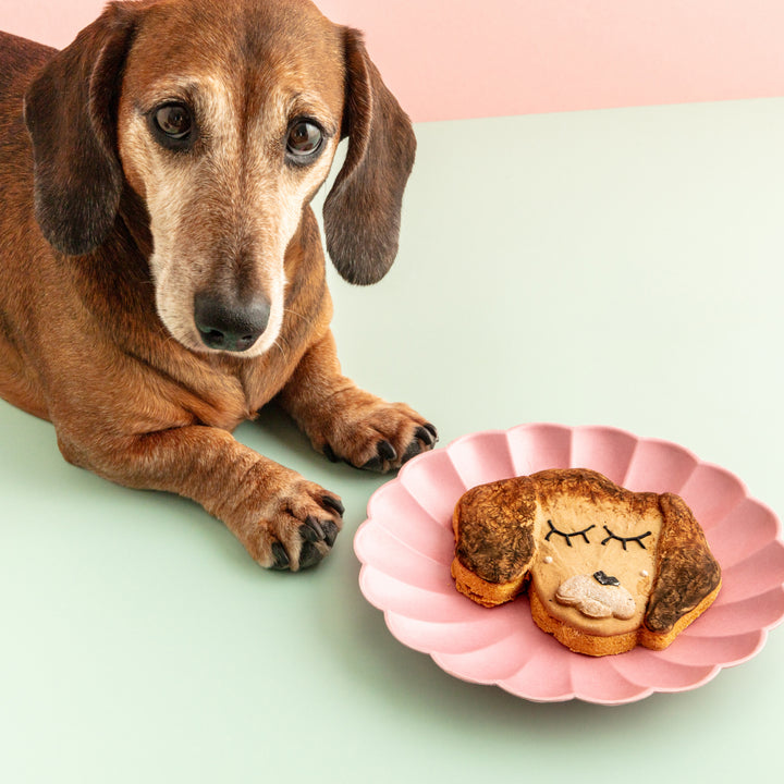 Fetch My Face | Custom Face Iced Dog Biscuit