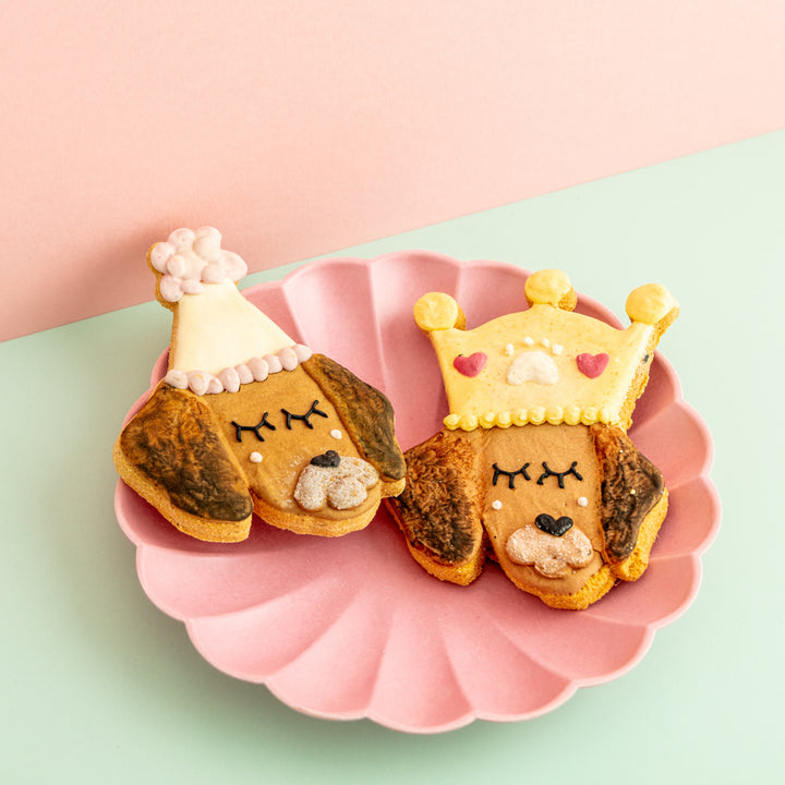 Fetch My Face | Custom Face Iced Dog Biscuit