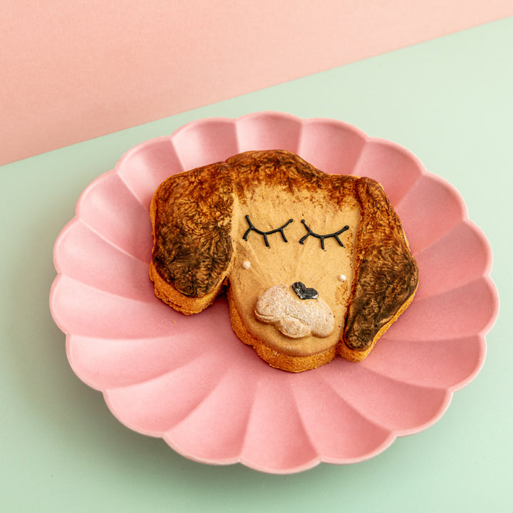 Fetch My Face | Custom Face Iced Dog Biscuit