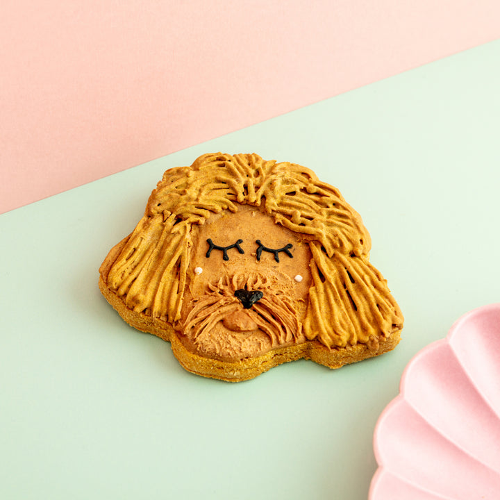 Fetch My Face | Custom Face Iced Dog Biscuit