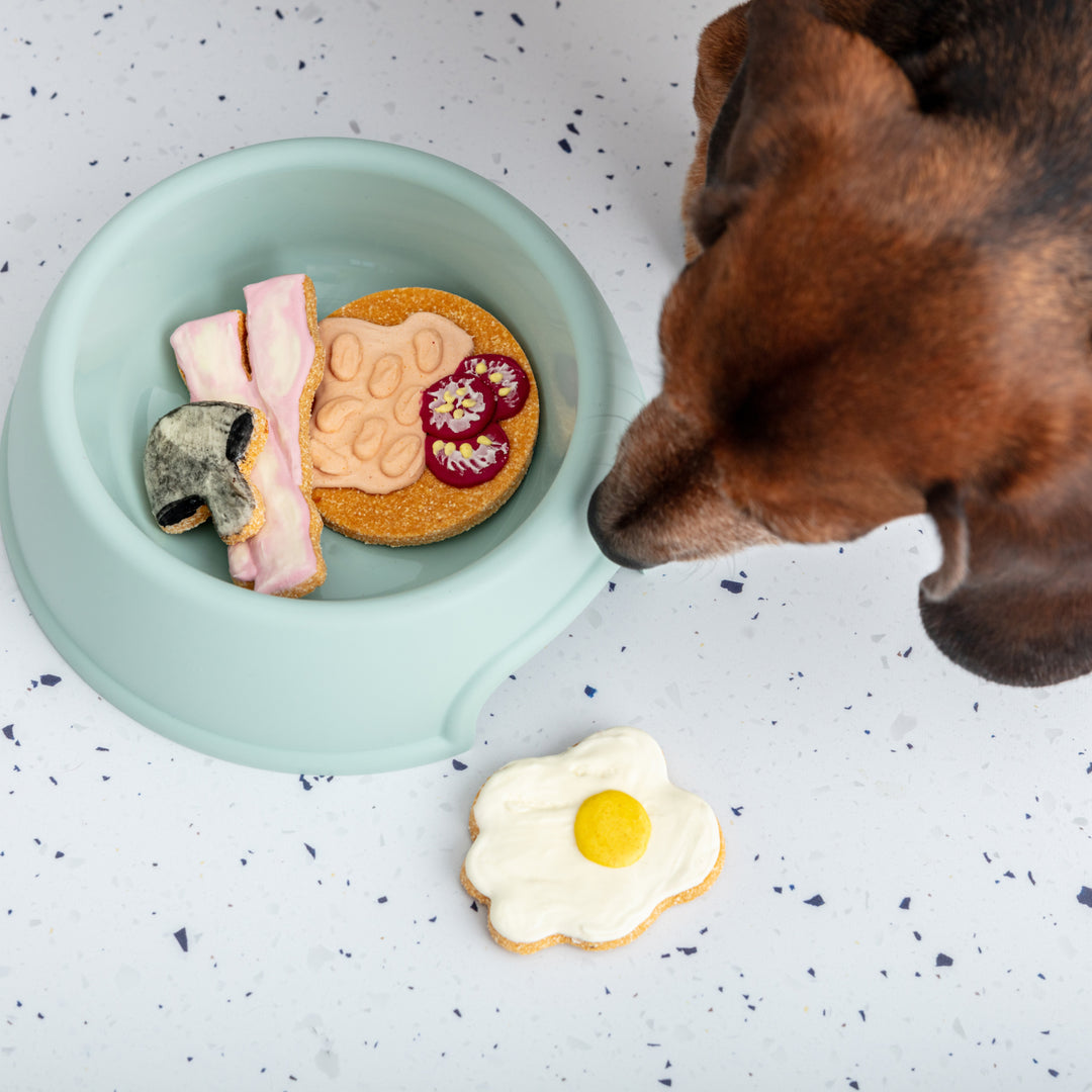 Full English Breakfast Iced Dog Biscuit Set