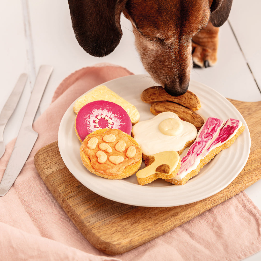 Full English Breakfast Iced Dog Biscuit Set