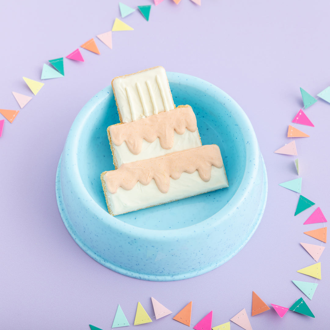 Giant Birthday Cake Iced Dog Biscuit