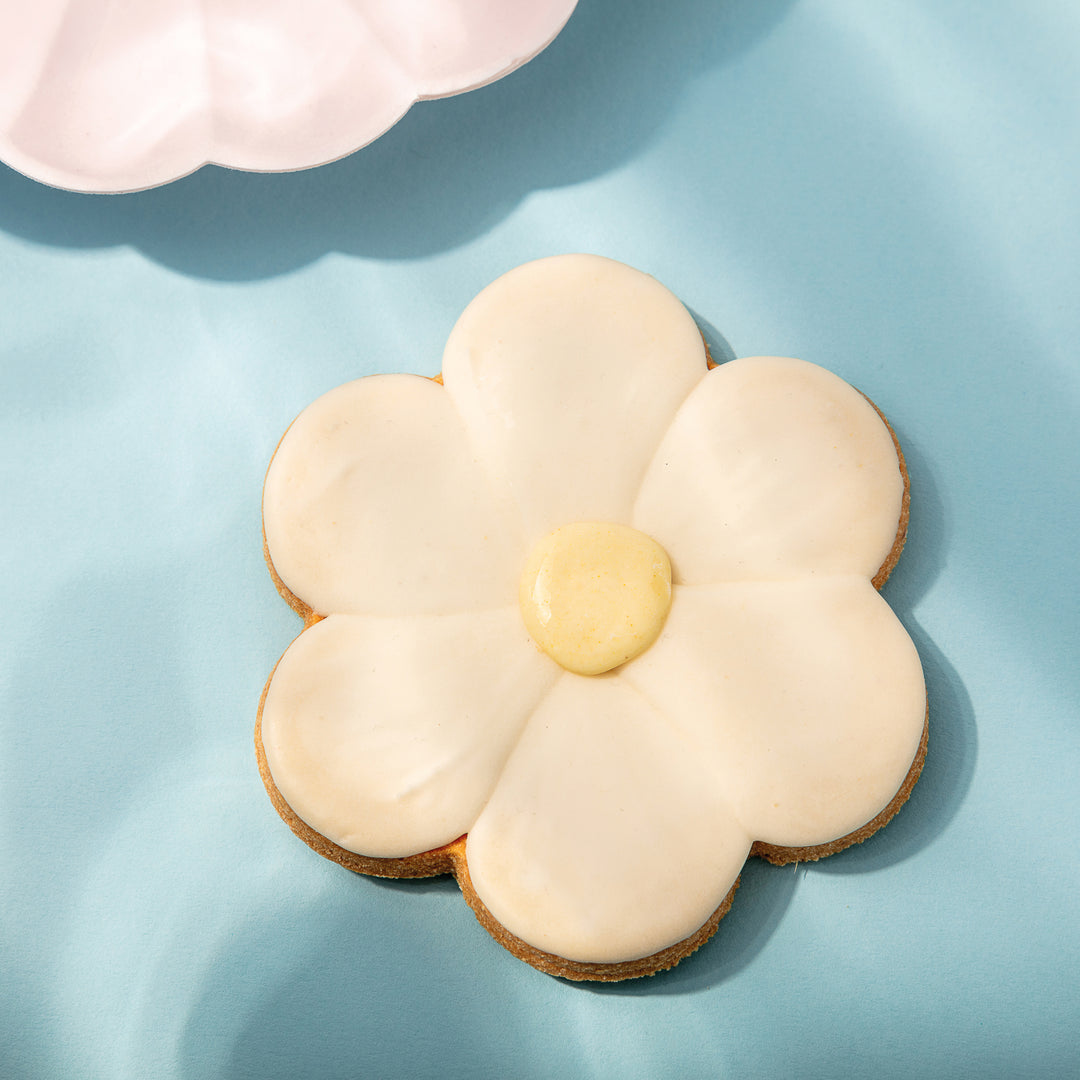 Giant Daisy Iced Dog Biscuit