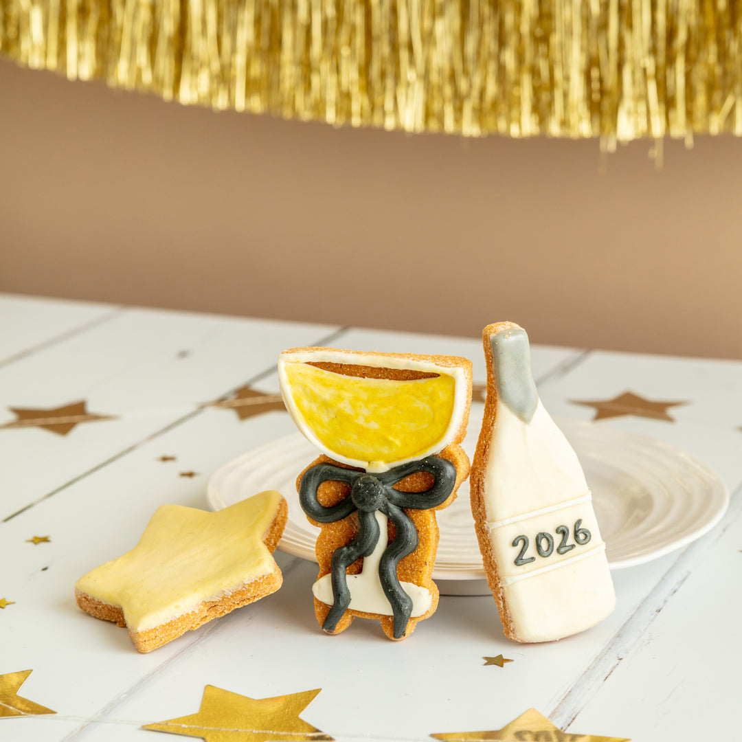 Happy New Year 2026 Iced Dog Biscuit Trio