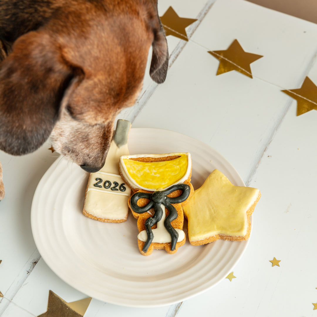 Happy New Year 2026 Iced Dog Biscuit Trio