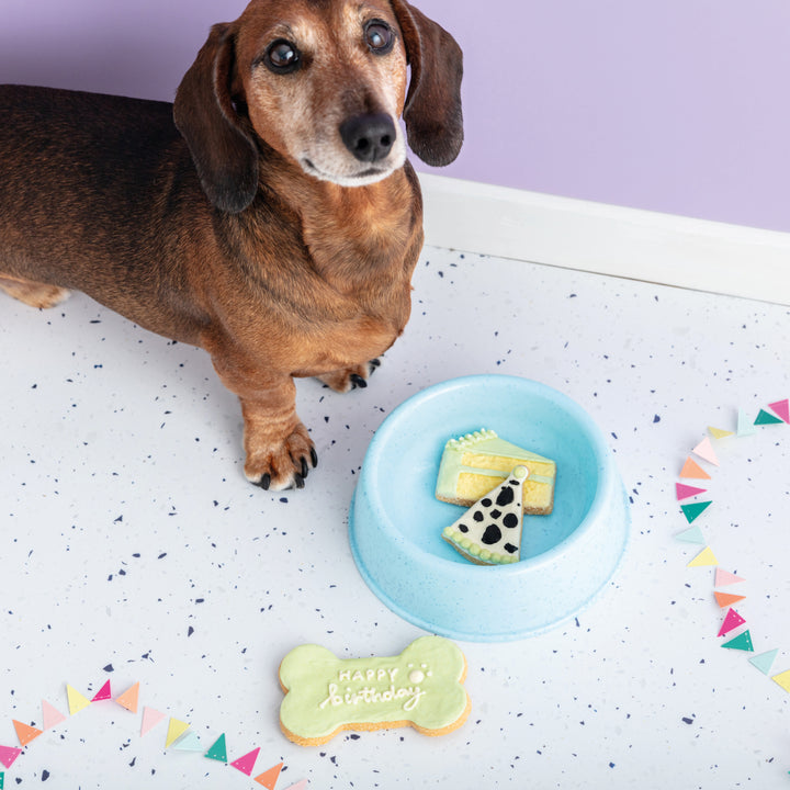 Happy Birthday Mini Iced Dog Biscuit Set