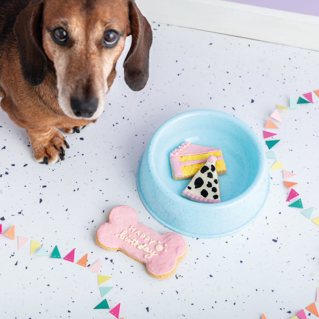 Happy Birthday Mini Iced Dog Biscuit Set