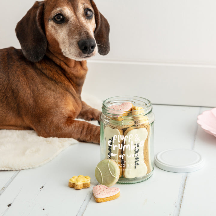 Personalised Jar of Woofs Iced Dog Biscuit Jar