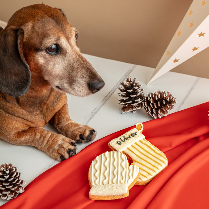 Personalised Christmas Stocking & Mitten Iced Dog Biscuit Duo