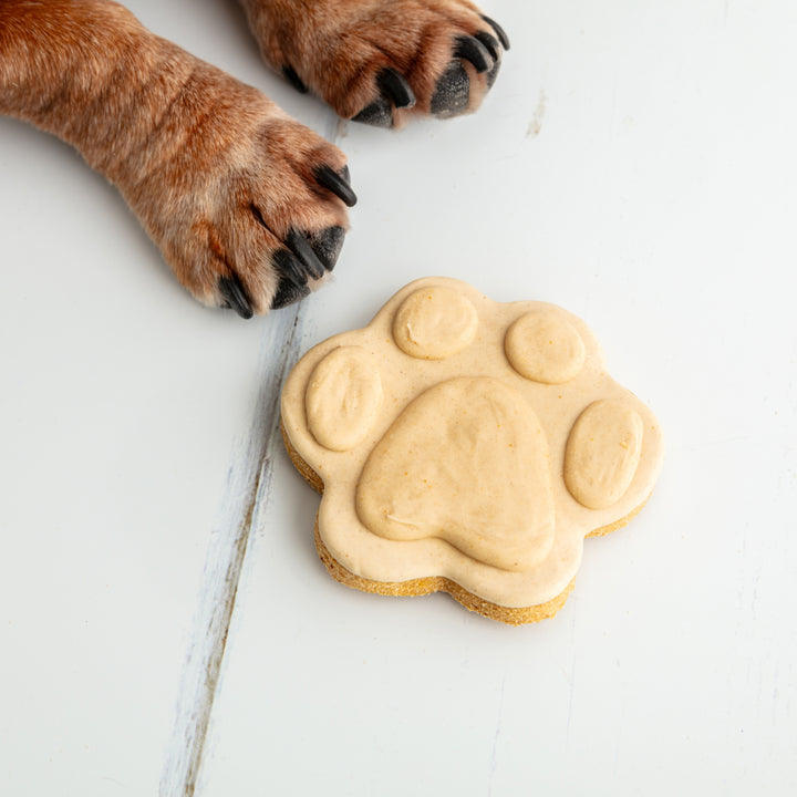 Paw Iced Dog Biscuit