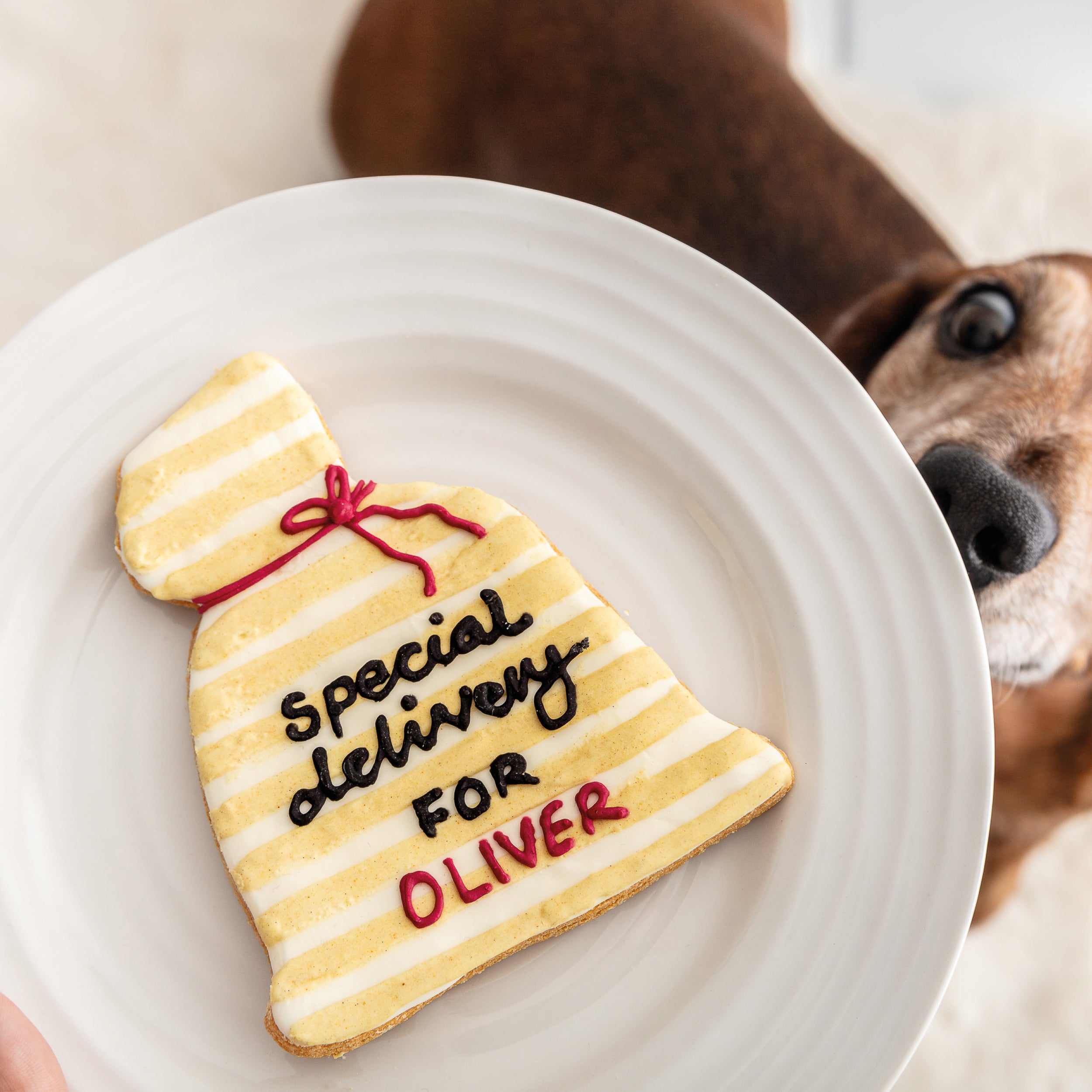 Personalised Iced Dog Biscuits