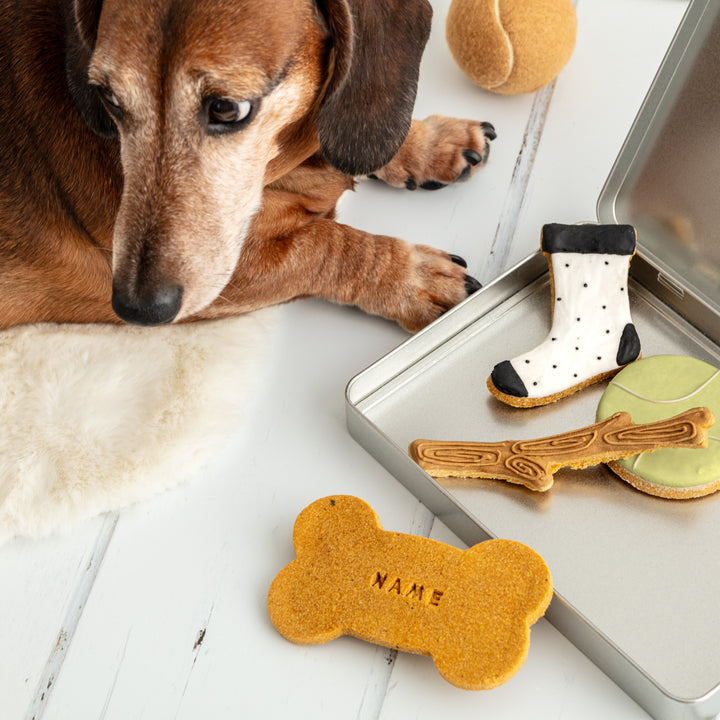 Personalised Iced Dog Biscuit Treat Tin