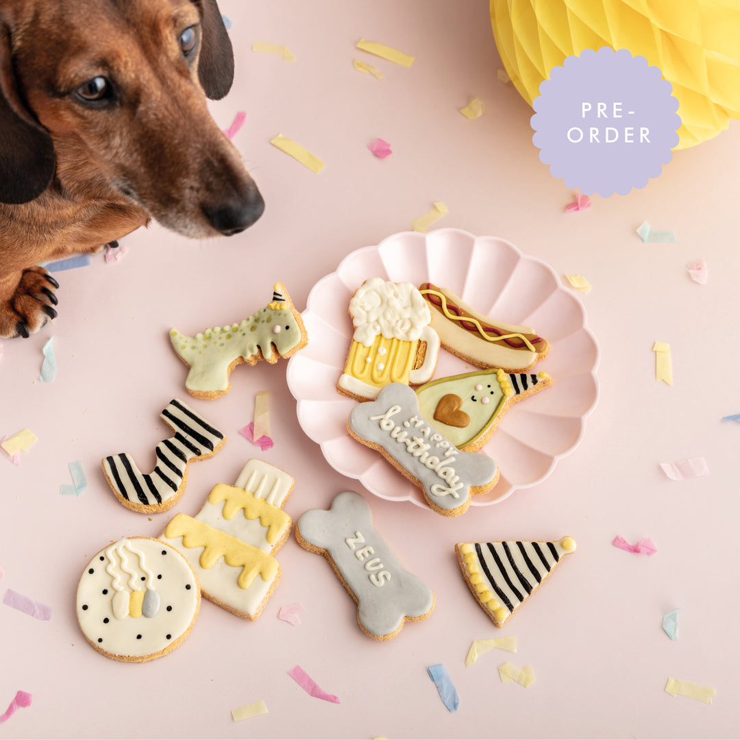 Dean the Dinosaur Birthday Iced Dog Biscuit Set