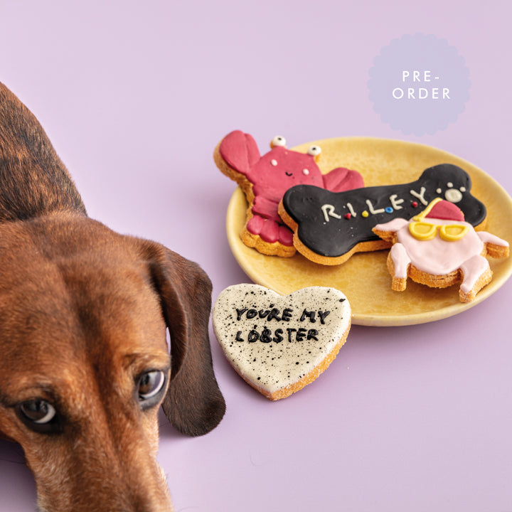 You’re My Lobster Iced Dog Biscuit Set