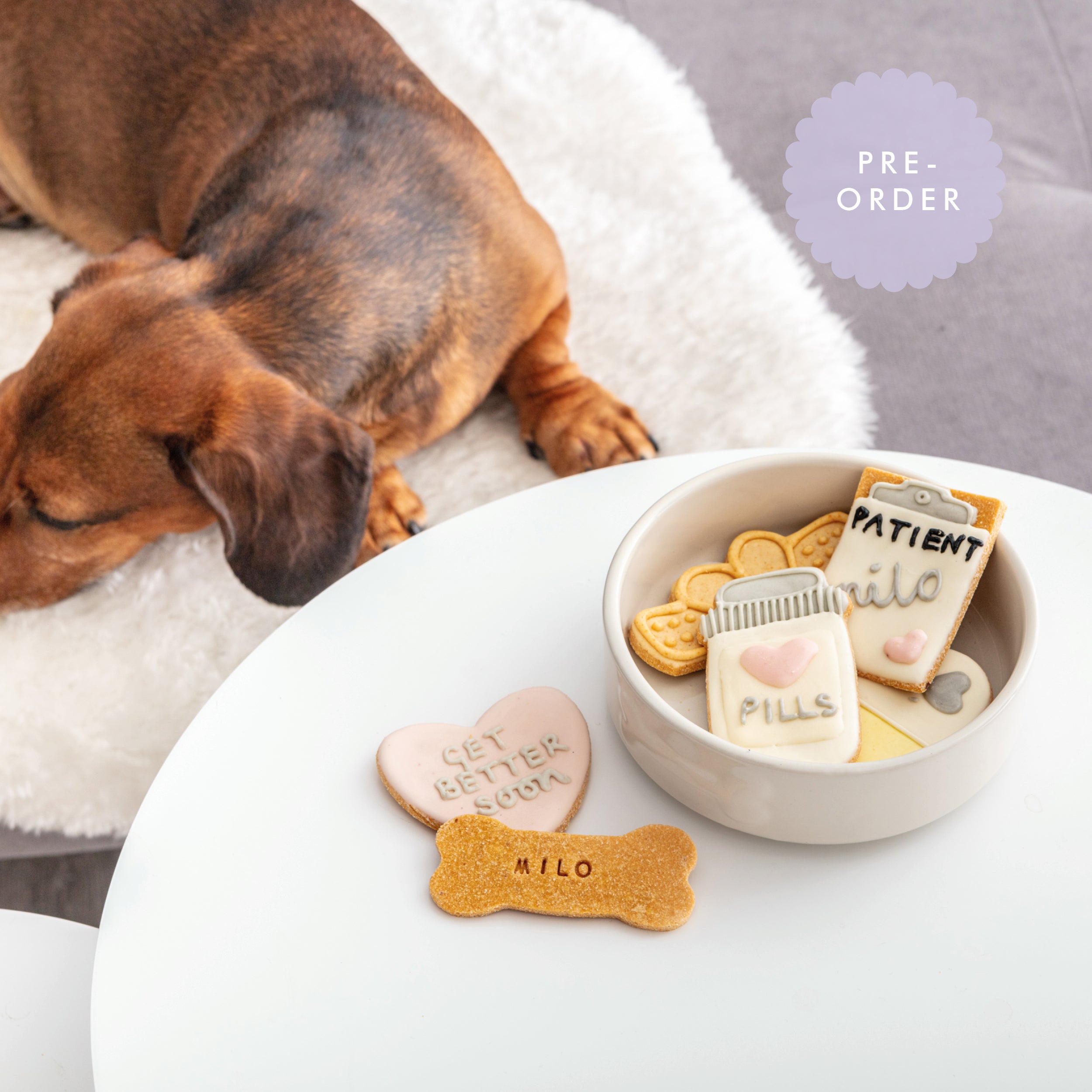 Get well soon dog treats best sale