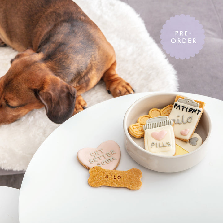 You're One Tough Cookie Iced Dog Biscuit Set