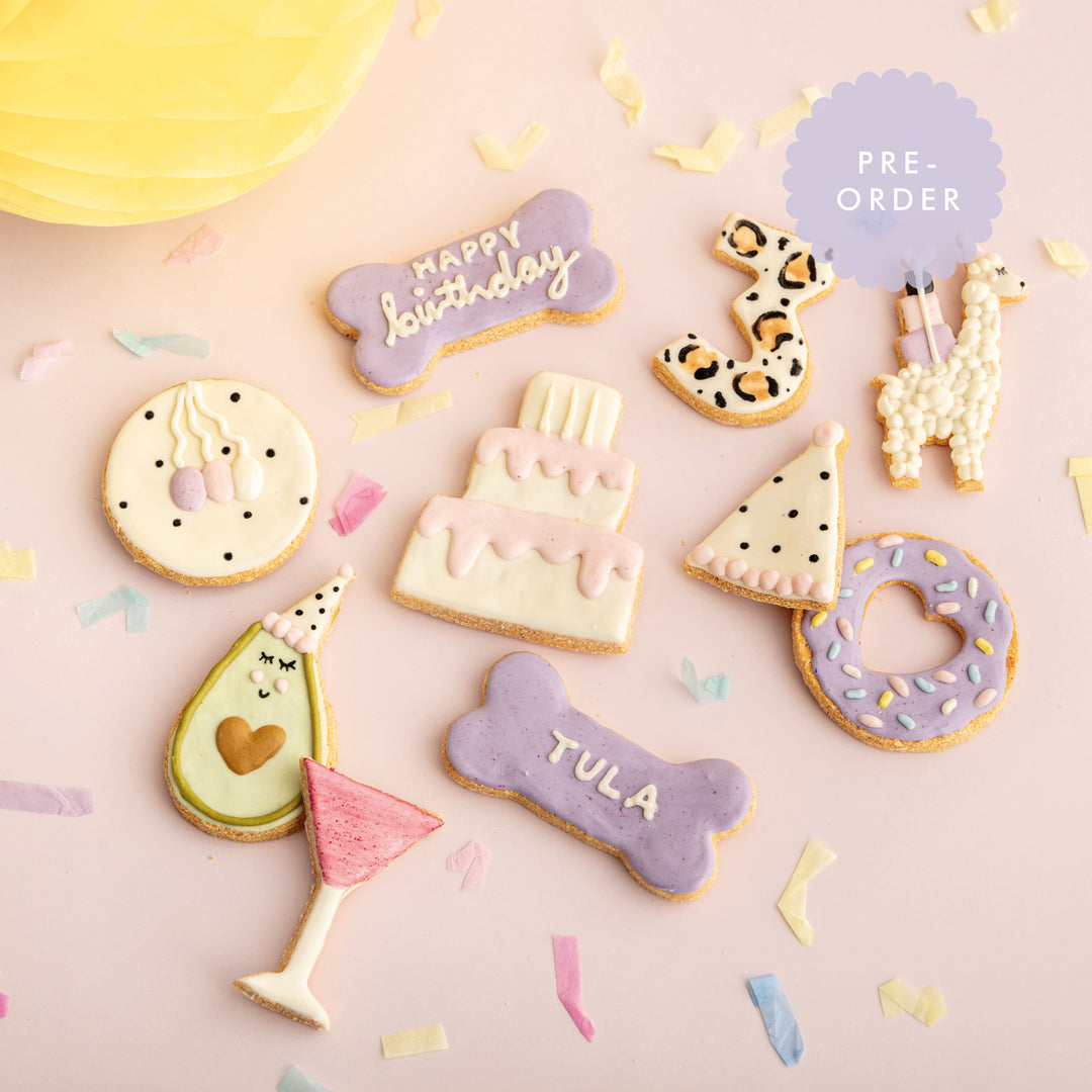 Laura the Llama Celebration Iced Dog Biscuit Set